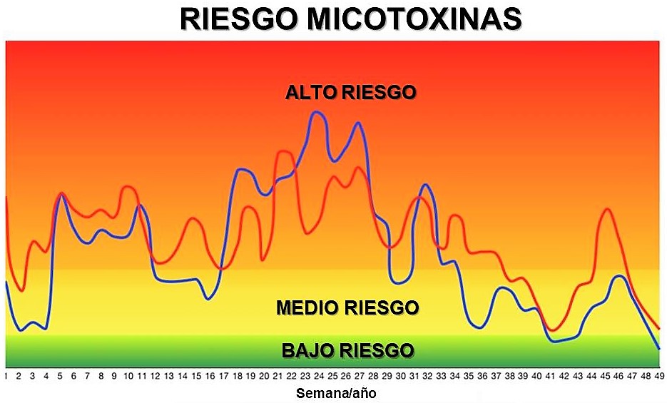 Assistencia tecnica3 SP